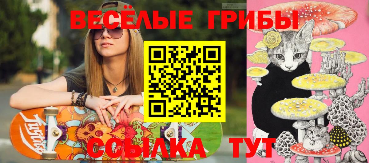 Галлюциногенные грибы Cubensis Полевской